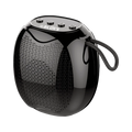 BX-171 | Portable Wireless Speaker