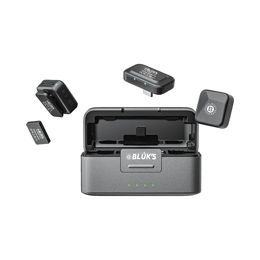BX-29